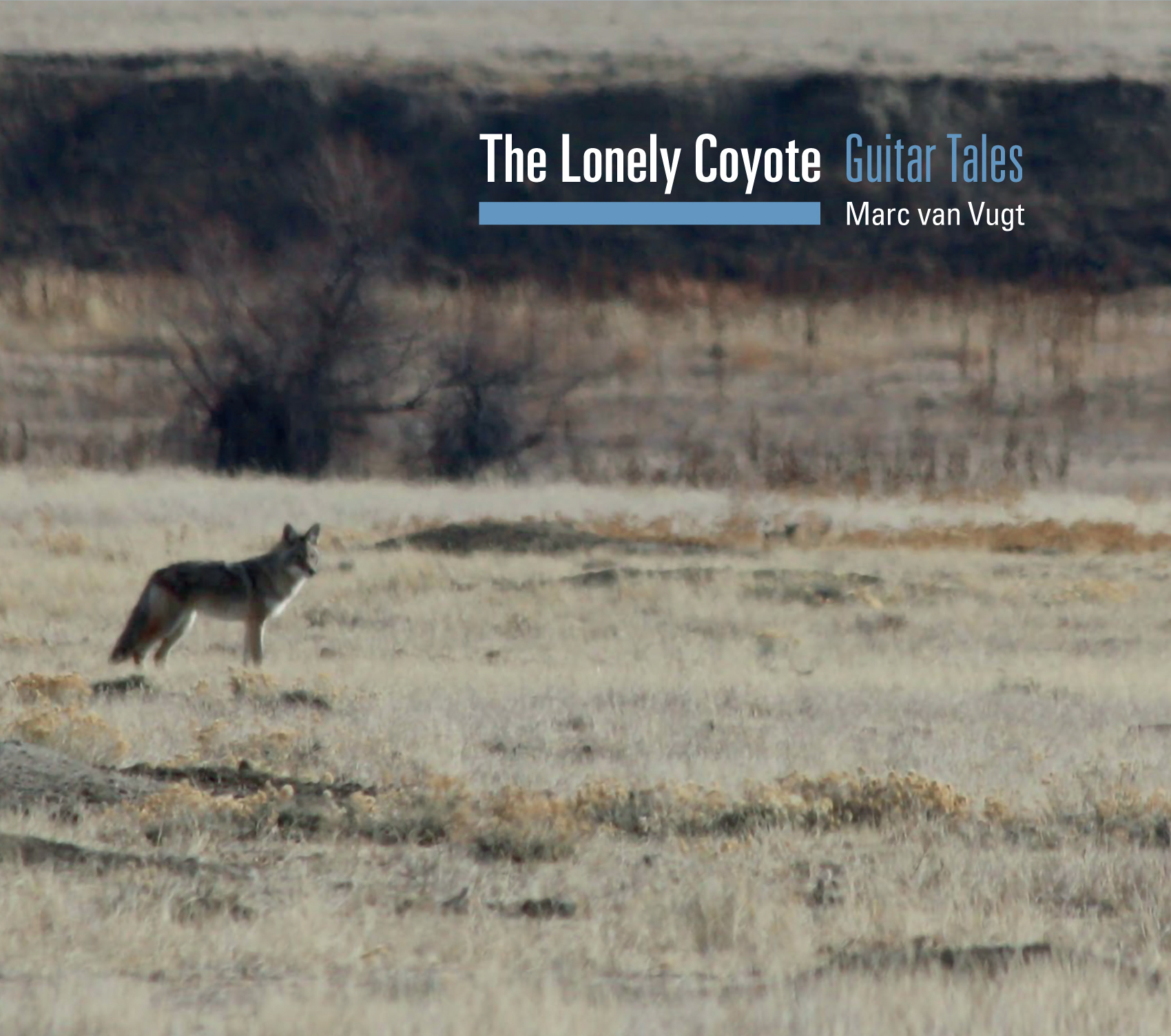 Marc van Vugt
The Lonely Coyote